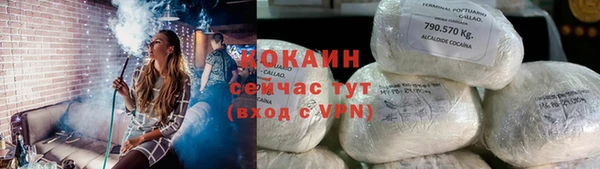 дживик Навашино