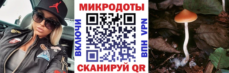 где продают   Ковров  OMG зеркало  Псилоцибиновые грибы Psilocybe 